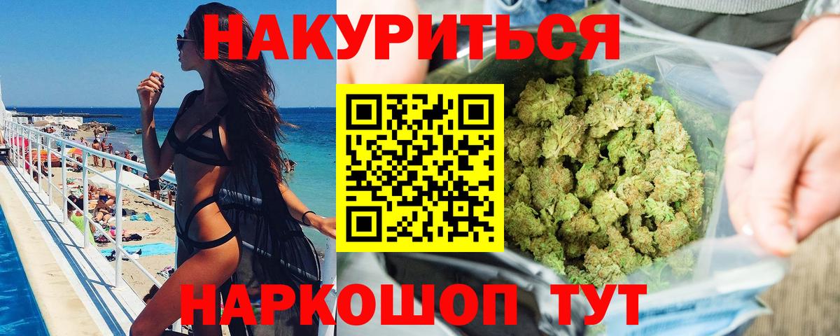 Конопля сатива Сочи